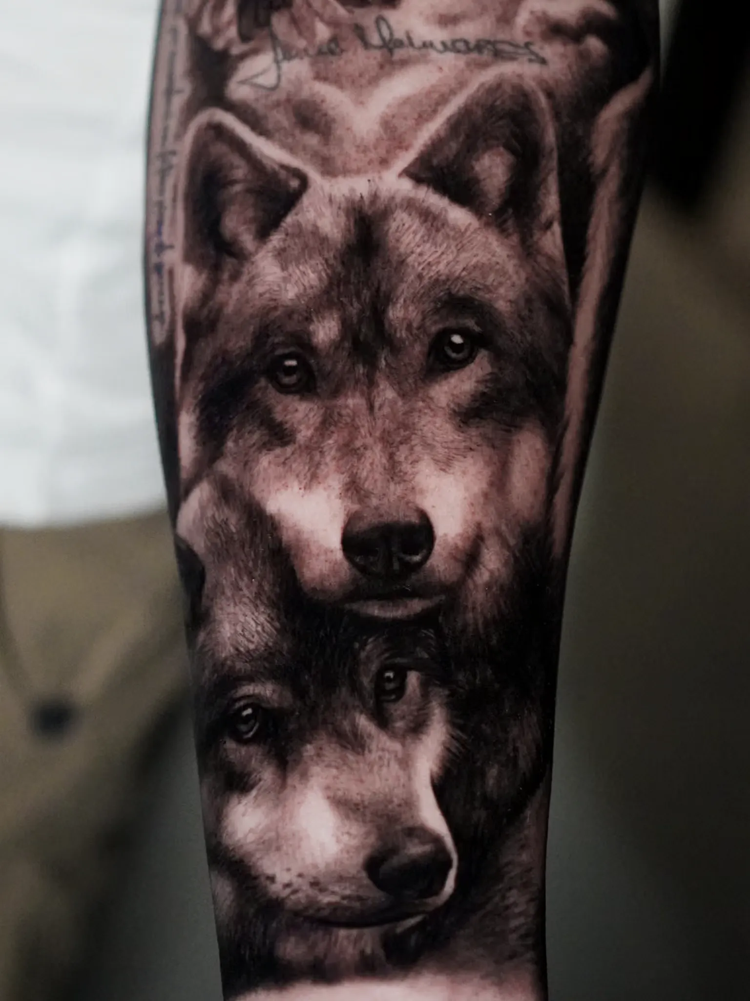 Black and grey realism wolves tattoo by Clayton Goethe