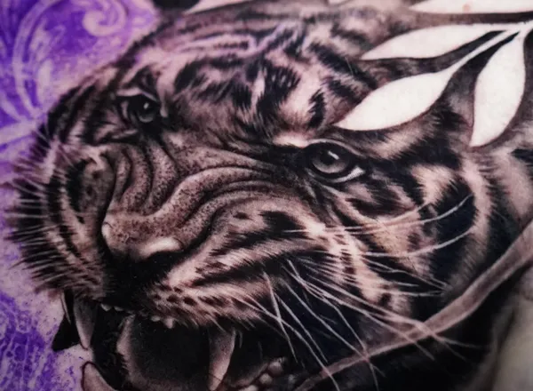 Black and grey realism tiger chest tattoo by Clayton Goethe in Barranquilla, Colombia