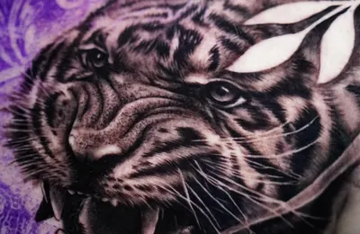 Black and grey realism tiger chest tattoo by Clayton Goethe in Barranquilla, Colombia